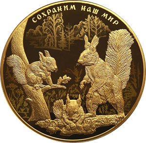 10000 рублей 2023 – Белка обыкновенная 10000 рублей 2023 – Белка обыкновенная